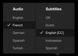 how to learn a foreign language with netflix