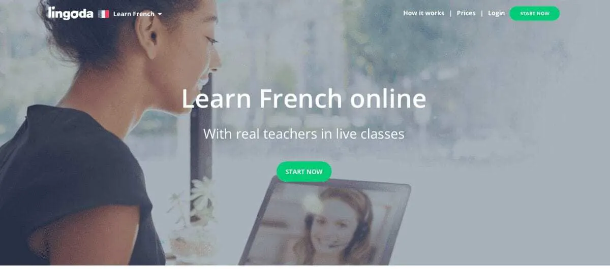 make money online teaching languages lingoda